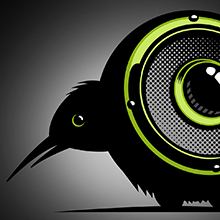 Kiwi Audio